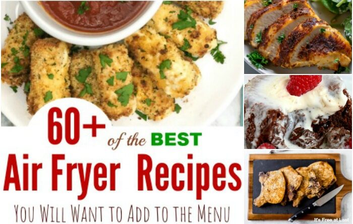 60+ of the BEST Air Fryer Recipes You Will Want to Add to the Menu