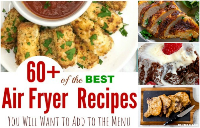 60+ of the BEST Air Fryer Recipes You Will Want to Add to the Menu