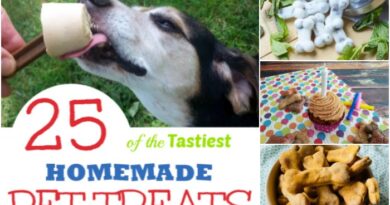 25 of the Tastiest Homemade Pet Treats Your Pets Will Love