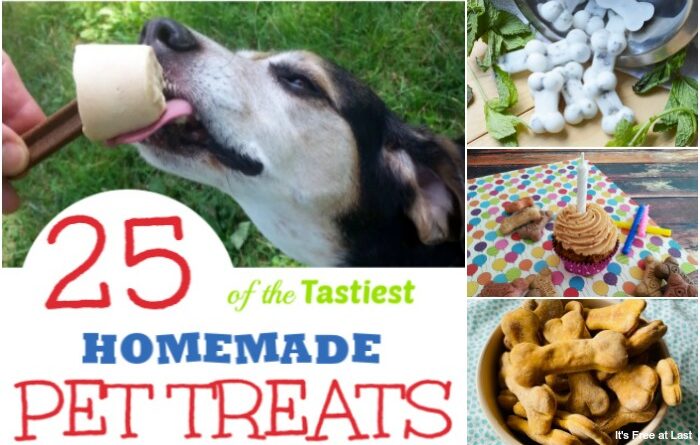 25 of the Tastiest Homemade Pet Treats Your Pets Will Love
