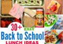 30+ Easy Back to School Lunch Ideas the Kids Will Love