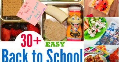 30+ Easy Back to School Lunch Ideas the Kids Will Love