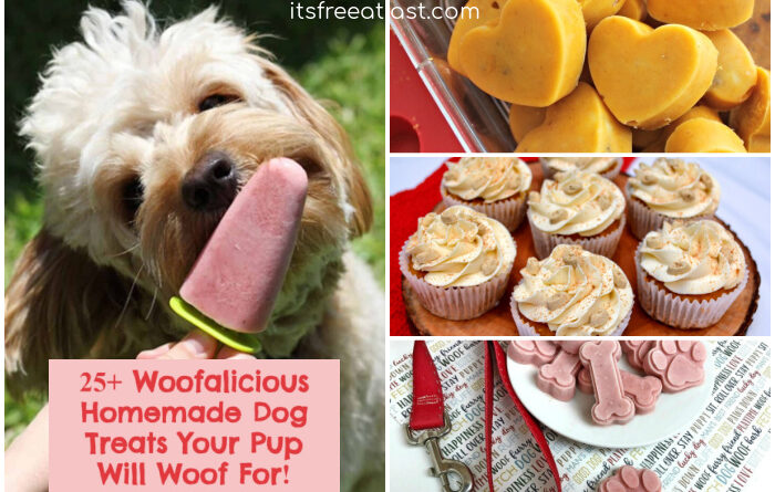 25+ Woofalicious Homemade Dog Treats Your Pup Will Woof For!
