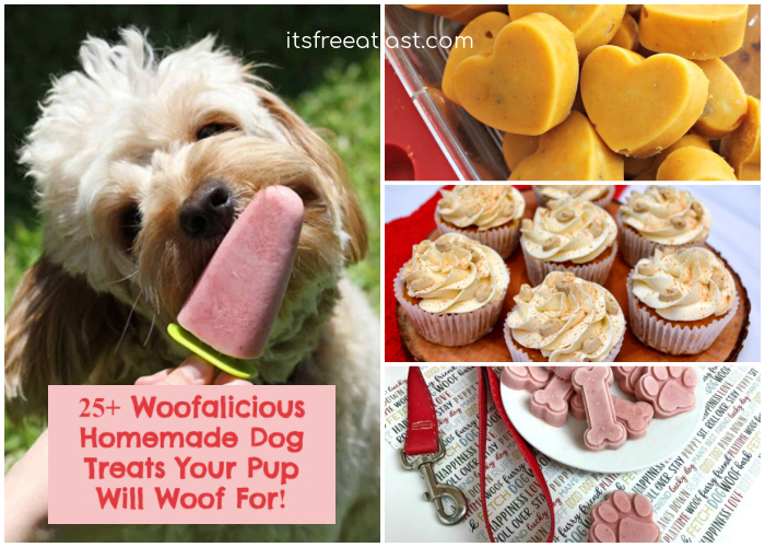 25+ Woofalicious Homemade Dog Treats Your Pup Will Woof For!