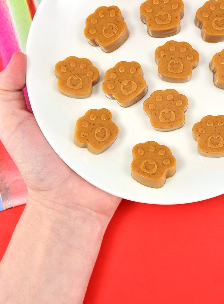 https://itsfreeatlast.com/wp-content/uploads/2021/04/peanut-butter-dog-gummy-treat-recipe-dreamalittlebigger-06.jpg