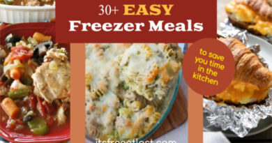 30+ EASY Freezer Meals to Save You Time in the Kitchen