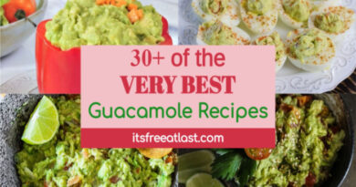 30+ of the VERY BEST Guacamole Recipes You Must Try