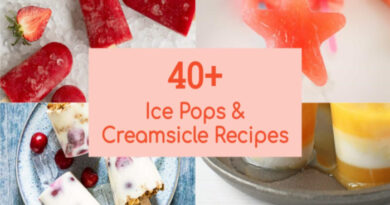40+ Refreshing Ice Pops & Creamsicle Recipes Perfect for a Hot Summer Day