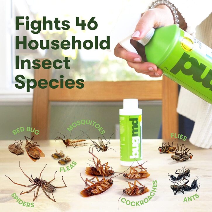 Tackle Pests and Bugs with BugMD Plant-Powered Bug Spray - It's Free At Last