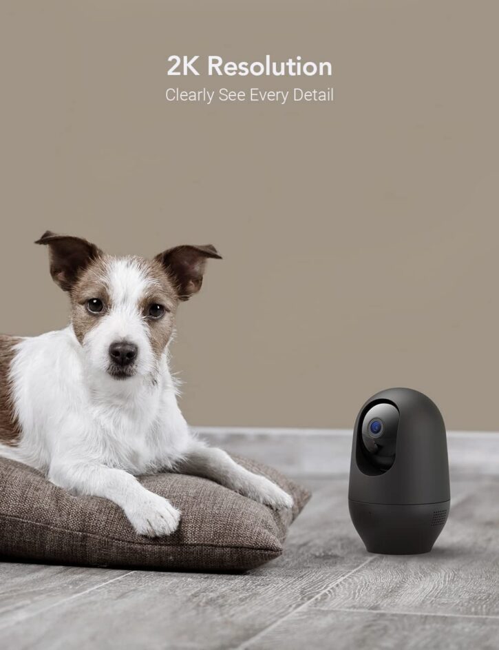 Watch your best sale dog camera