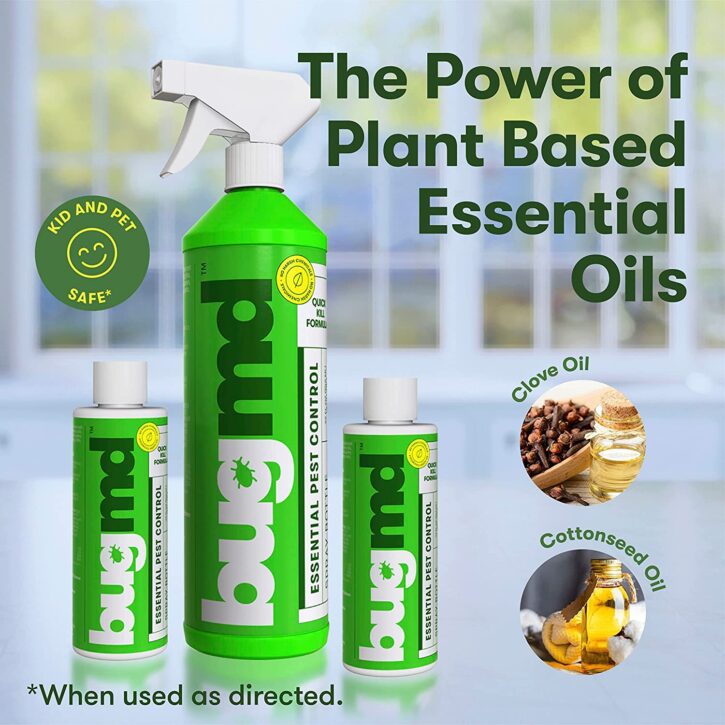 Tackle Pests and Bugs with BugMD Plant-Powered Bug Spray - It's Free At Last