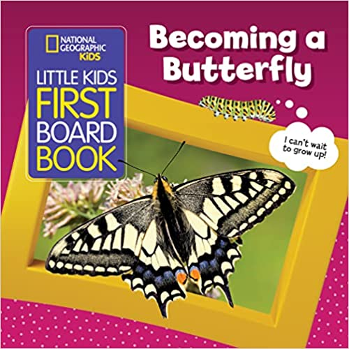 NATIONAL GEOGRAPHIC Butterfly Growing Kit