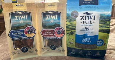 Treats and Chews Your Dogs Will Love from ZIWI